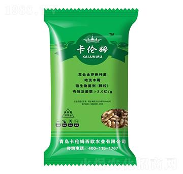 �������طN��-����ķ-���ݳ���