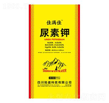 �����-�ѝM��-�ʢ�Ƽ�