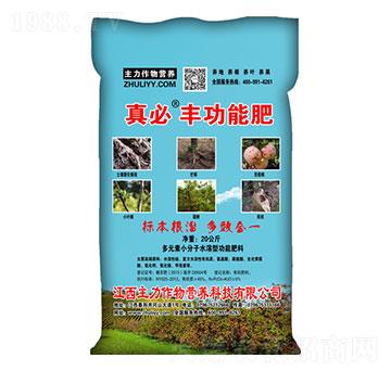 ����S���ܷ�-��������