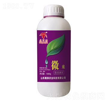 ΢��-¡̩�r�I(y��)