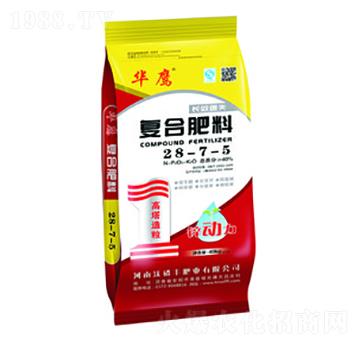 �ͺϷ���28-7-5-�����S