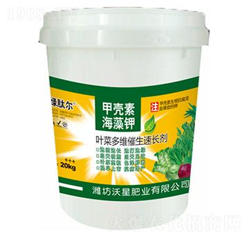 �~�˶�S�������L(zh��ng)��-��