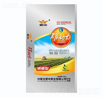 碳基型-碳動力-蒙中肥業(yè)