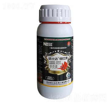 �߼t��-�Zʿ�_