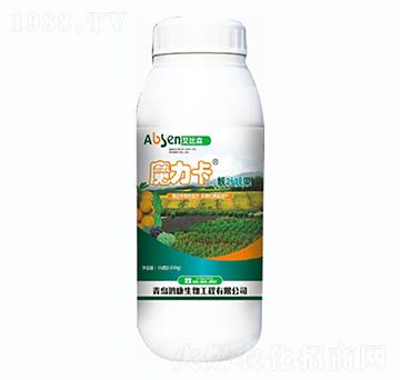 ħ�����n�~�n��-����ɭ-��������