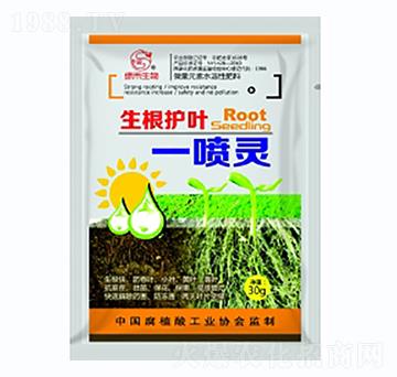 �����o�~һ���`-���ϷʘI(y��)