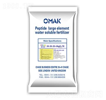 ���Ĵ���Ԫ��ˮ�ܷ���20-20-20+MgO+TE-�W����-���o����