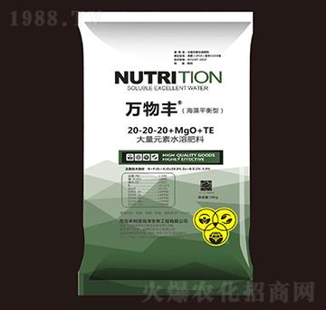 ����ƽ���ʹ���Ԫ��ˮ�ܷ���20-20-20+MgO+TE-�f���S-���o����