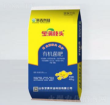 �ЙC(j��)����-��M(m��n)֦�^-����Ƽ�