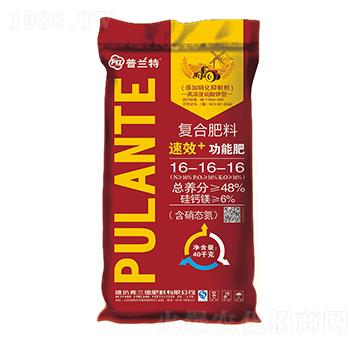 �ͺϷ���16-16-1