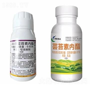 �|̦�؃�(n��i)֬-�W(li��n)���_