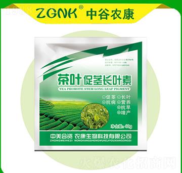 ���~���o�L�~��-�й��r��