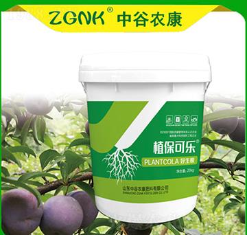 ������-ֲ���ɘ�-�й��r(n��ng)��