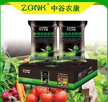 ̼ø�S�����-�й��r��