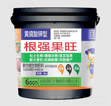 ��������-��������