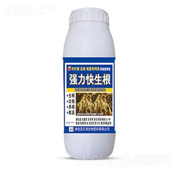 ����������-ʥ�ϝ�