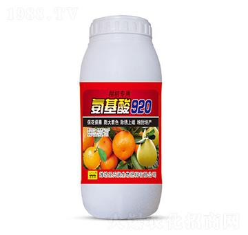 �̽ی��ð�����920-ʥ�ϝ�