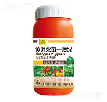 �S�~����һ���G-ʥ�ϝ�(r��n)