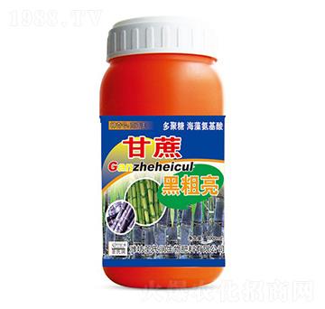 ����ڴ���-ʥ�ϝ�