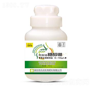 �Ǵ���-ʥ�ϝ�