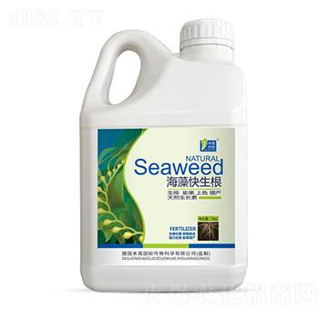 ���������-ʥ�ϝ�