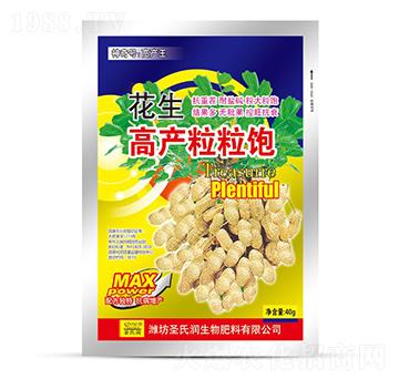 �����߮a(ch��n)�����-ʥ�ϝ�