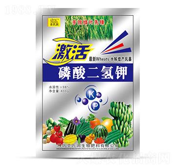 ��������400g-ʥ�ϝ�