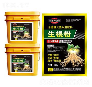 ������-ʥ�ϝ�