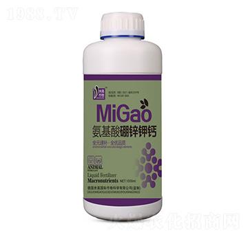 ���������\��}-ʥ�ϝ�