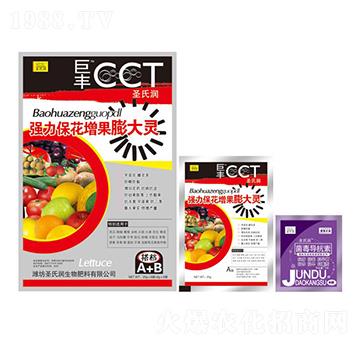 ��(qi��ng)��������������`-ʥ�ϝ�(r��n)