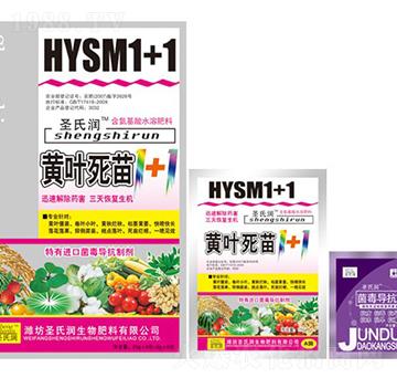 �S�~����1+1-ʥ�ϝ�