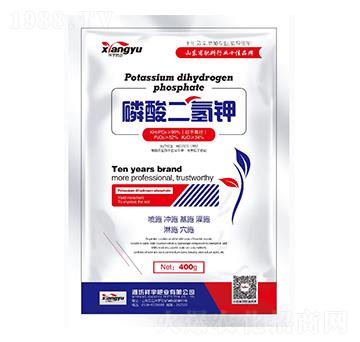 ��������-����ʘI(y��)