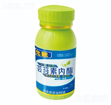 �|̦�؃�(n��i)��-���n-�ַ�z