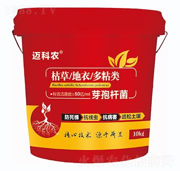 ѿ�ߗU��-�~���r-�Έ�����