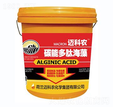 ̼�ܶ��ĺ���-�~���r��Ͱ��-�Έ�����