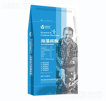 ����̼ø�w����-�~���r(n��ng)-�Έ�����