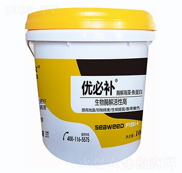 ø�⺣���~(y��)����-��(y��u)���a(b��)-�Έ�����