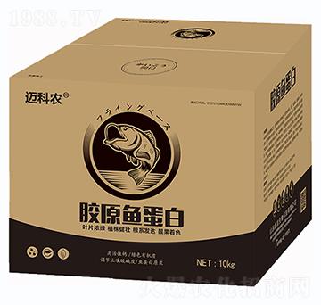 �zԭ�~(y��)����-�~���r(n��ng)-�Έ�����