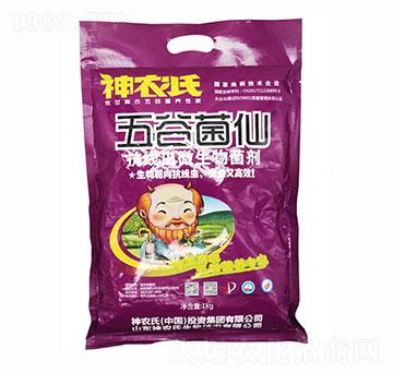 ����(xi��n)�x(ch��ng)΢�������-���