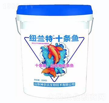 �~�m��+ʮ�l�~(y��)-���r(n��ng)��