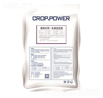 葡萄專用生根促花肥-三盈聯(lián)邦