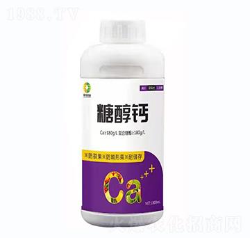 �Ǵ��}-�S���Έ@-������