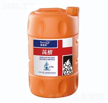 ����-������