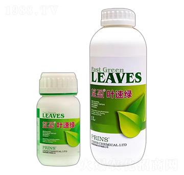 望盈葉速綠-英國普林斯