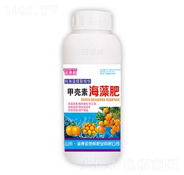 �ך��غ����-�Z����