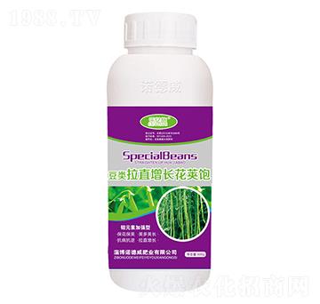 �����ֱ���L���v���