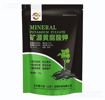 �VԴ�S�����-�Ľ��w����