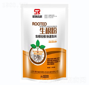 ������-ʢ��(r��n)�߿�