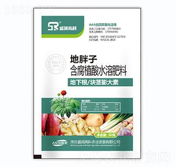 ����ֲ��ˮ�ܷ���-������-ʢ��(r��n)�߿�