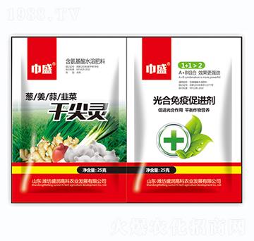 �ɼ��`+������ߴ��M��-��ʢ-ʢ���߿�